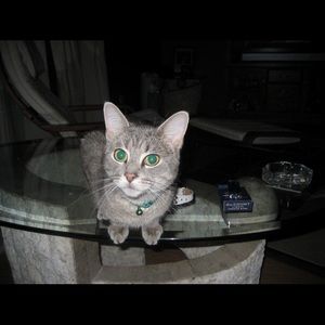 Meet your Posher, Jennifer